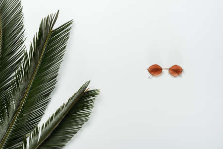 top view of green palm leaves and fashionable sunglasses on white backgroundの写真素材