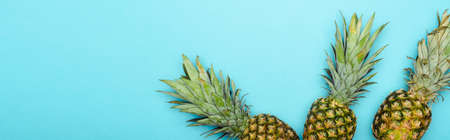 top view of ripe pineapples on blue background, panoramic shotの写真素材