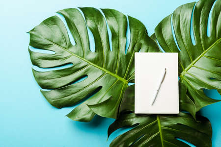 top view of blank notepad with pen on green palm leaves on blue backgroundの写真素材
