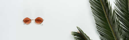 top view of green palm leaves and fashionable sunglasses on white background, panoramic shotの写真素材