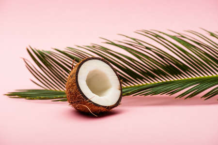 green palm leaf and fresh coconut half on pink backgroundの写真素材
