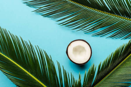top view of green palm leaves and coconut half on blue backgroundの写真素材