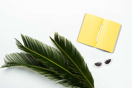 top view of green palm leaves near sunglasses and yellow planner on white backgroundの写真素材