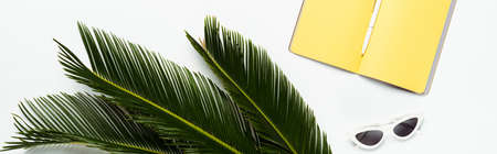 top view of green palm leaves near sunglasses and yellow planner on white background, panoramic shot