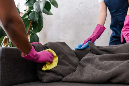 Cropped view of multiethnic cleaners cleaning pillows upholstery on couchの写真素材