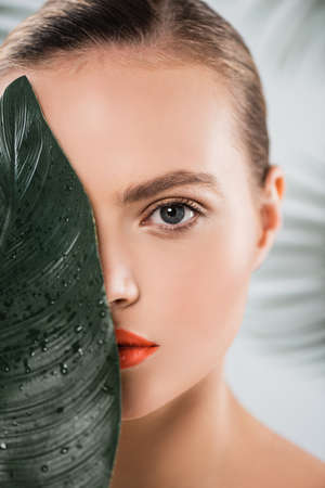 attractive woman with makeup looking at camera near green and wet leaf on whiteの写真素材