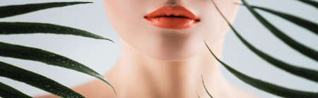 panoramic crop of woman with orange lipstick near palm leaves on white