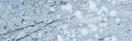 rough abstract gray concrete textured surface, panoramic orientation
