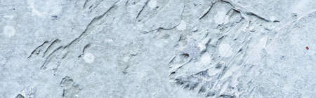 rough abstract gray concrete background texture, panoramic shot