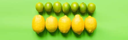 flat lay with ripe lemons and limes on green background, panoramic cropの写真素材