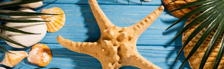 top view of seashells, starfish and palm leaves on wooden blue background, panoramic shotの写真素材