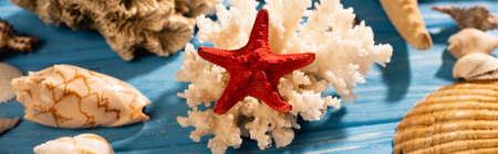seashells, starfish and coral on wooden blue background, panoramic shot