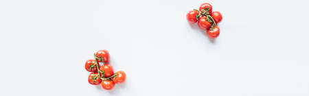 top view of red ripe fresh tomatoes on branches on white background, panoramic shotの写真素材