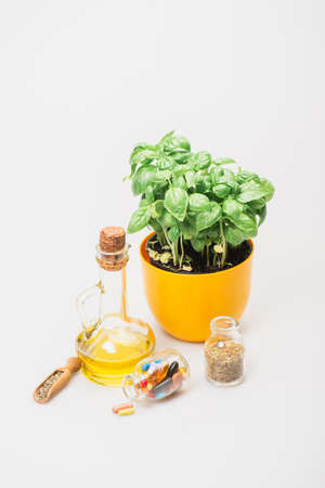 green plant in flowerpot near pills and herbs in glass bottles and essential oil on white background, naturopathy conceptの写真素材