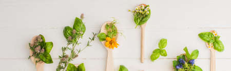 panoramic shot of herbs and green leaves in spoons near flowers on white wooden background, naturopathy conceptの写真素材