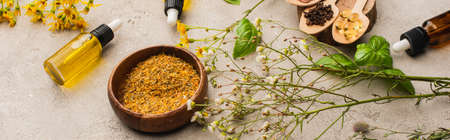 top view of herb, green leaves, ginger root and pills in wooden spoon on concrete background, naturopathy conceptの写真素材