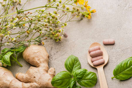 herb, green leaves, ginger root and pills in wooden spoon on concrete background, naturopathy...