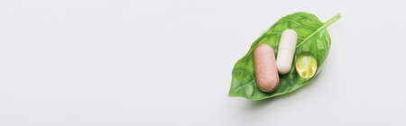 panoramic shot of pills on green leaf on white background, naturopathy conceptの写真素材