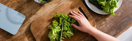 panoramic shot of woman cutting fresh lettuce on chopping boardの写真素材