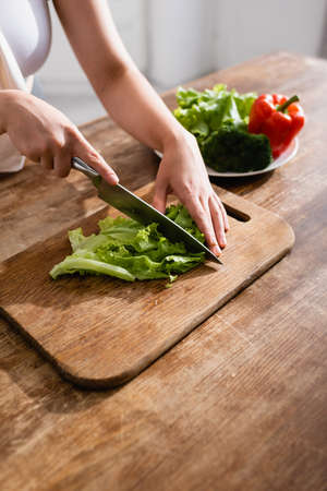 cropped view of woman cutting fresh lettuce on chopping boardの写真素材