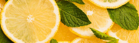 top view of sliced yellow lemons with mint green leaves, panoramic shotの写真素材