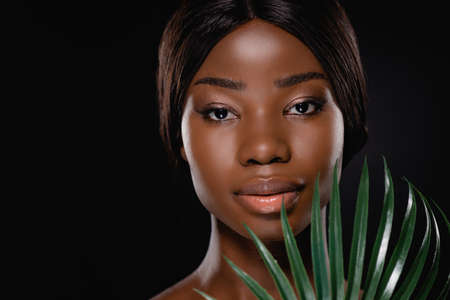 african american naked woman with green palm leaf isolated on blackの写真素材
