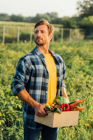 farmer in plaid shirt holding box with fresh vegetables while standing in fieldの写真素材