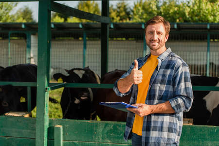 farmer in plaid shirt showing thumb up while standing near cowshed with clipboardの写真素材