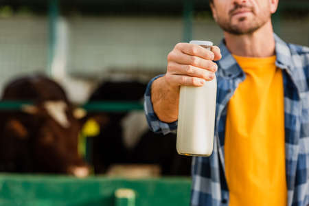 cropped view of rancher in checkered shirt showing bottle of fresh milk, selective focus