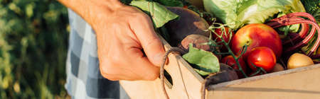 cropped view of farmer holding wooden box full of ripe vegetables, horizontal imageの写真素材