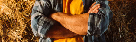 cropped view of farmer in checkered shirt standing with crossed arms near stack of hay, panoramic orientationの写真素材