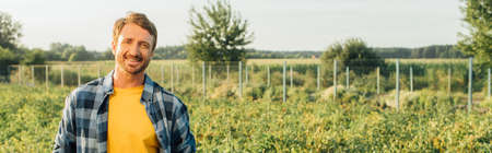 horizontal image of farmer in checkered shirt looking at camera while standing on plantationの写真素材