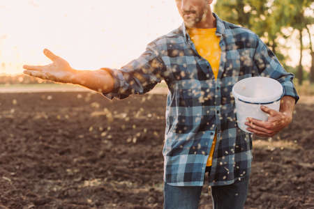 cropped view of farmer in checkered shirt sowing seeds on plowed field