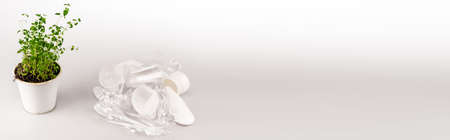 green plant in flowerpot near crumpled plastic trash on white background, panoramic shotの写真素材