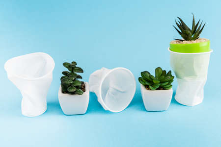 green succulent plants in flowerpots near crumpled plastic cups on blue backgroundの写真素材