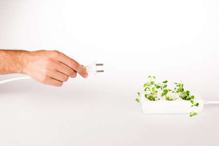 cropped view of man holding power plug near green plant growing in socket in power extender on white...