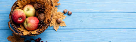 top view of autumnal wicker basket with apples, nuts and cones on blue wooden background, panoramic shotの写真素材