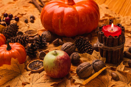 burning candle with pumpkins and autumnal decoration on golden foliage