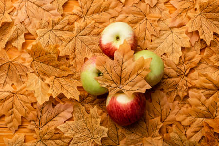 top view of ripe tasty apples and autumnal foliageの写真素材