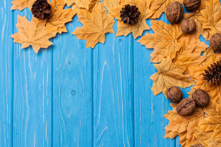 top view of autumnal foliage with nuts and cones on blue wooden background