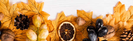 top view of autumnal decoration and grapes on white wooden background, panoramic shotの写真素材