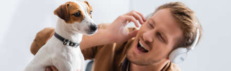 panoramic shot of excited businessman in wireless headphones near jack russell terrier dog in office