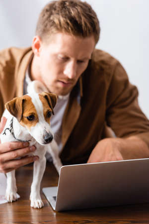 selective focus of concentrated businessman working at laptop near jack russell terrier dogの写真素材