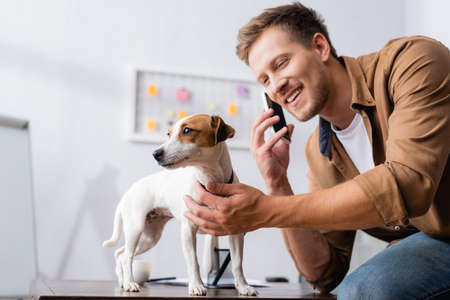 young businessman talking on smartphone near jack russell terrier dog on office deskの写真素材