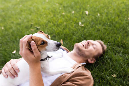 selective focus of man lying with jack russell terrier dog on green grass with closed eyesの写真素材