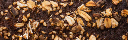 close up view of fresh baked bread crust with cereal, panoramic shot