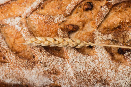 close up view of fresh baked bread loaf with spikelet