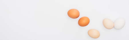 top view of fresh chicken eggs isolated on white, panoramic shotの写真素材