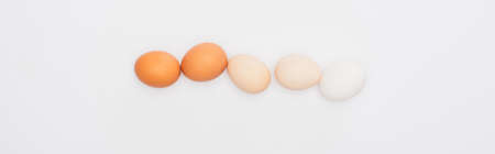 top view of fresh chicken eggs isolated on white, panoramic shotの写真素材