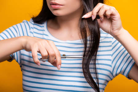 cropped view of brunette woman cutting hair isolated on yellowの写真素材